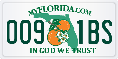 FL license plate 0091BS