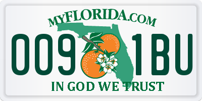 FL license plate 0091BU