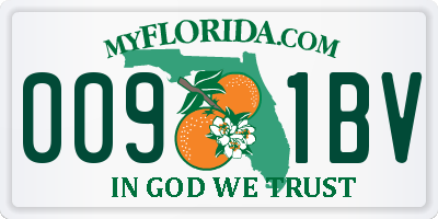 FL license plate 0091BV