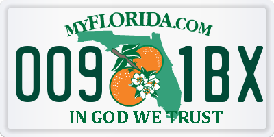 FL license plate 0091BX