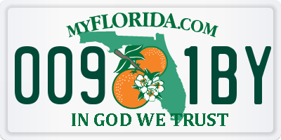 FL license plate 0091BY