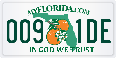 FL license plate 0091DE