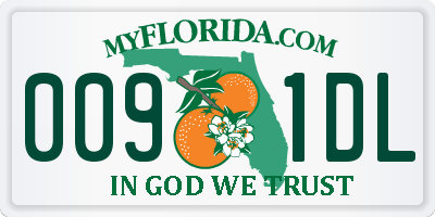 FL license plate 0091DL