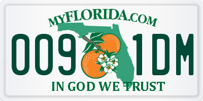 FL license plate 0091DM