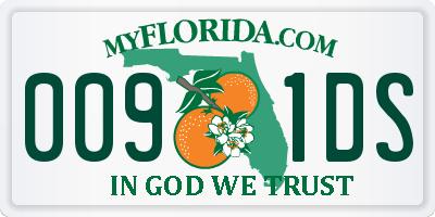 FL license plate 0091DS