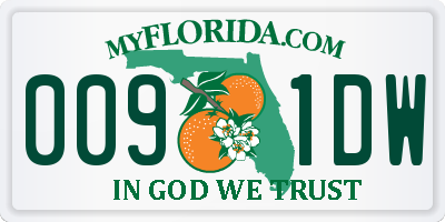 FL license plate 0091DW