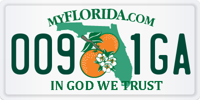 FL license plate 0091GA