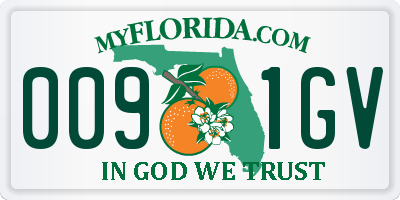 FL license plate 0091GV