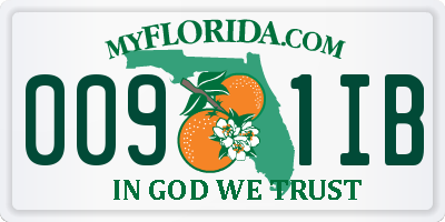 FL license plate 0091IB