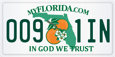 FL license plate 0091IN
