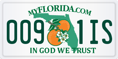 FL license plate 0091IS