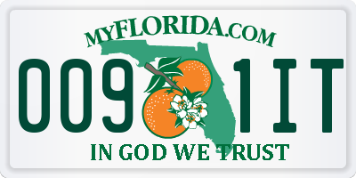 FL license plate 0091IT