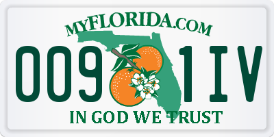 FL license plate 0091IV