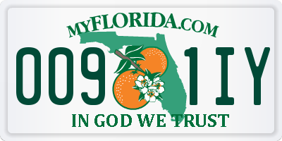 FL license plate 0091IY