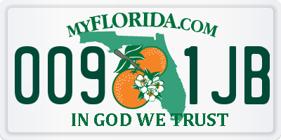 FL license plate 0091JB