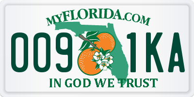 FL license plate 0091KA