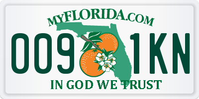 FL license plate 0091KN