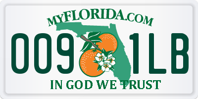 FL license plate 0091LB