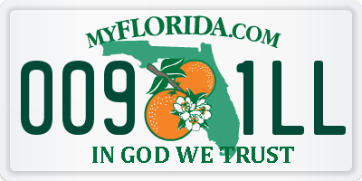 FL license plate 0091LL