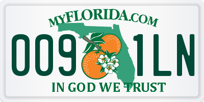 FL license plate 0091LN