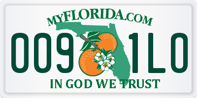 FL license plate 0091LO