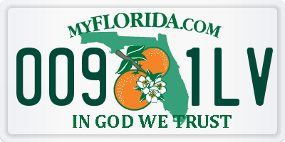 FL license plate 0091LV