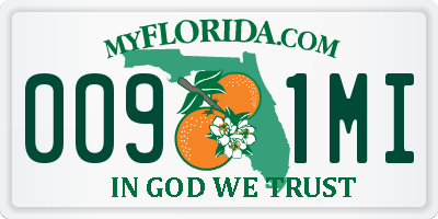 FL license plate 0091MI