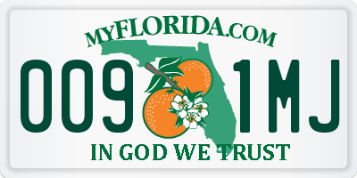 FL license plate 0091MJ