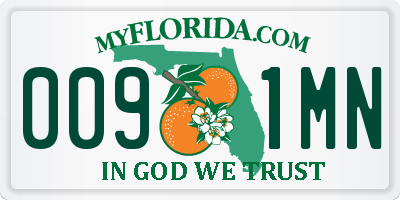 FL license plate 0091MN