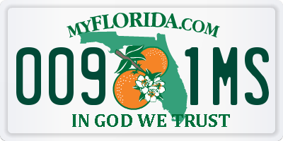 FL license plate 0091MS
