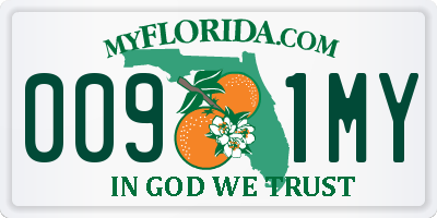 FL license plate 0091MY