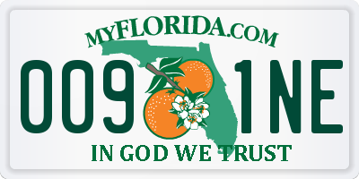 FL license plate 0091NE