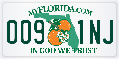 FL license plate 0091NJ