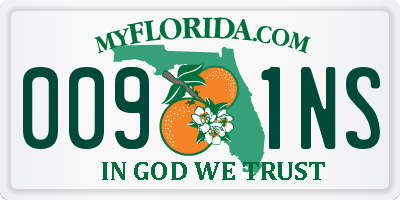 FL license plate 0091NS
