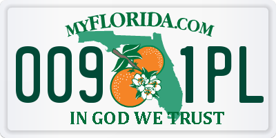 FL license plate 0091PL