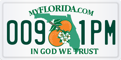FL license plate 0091PM