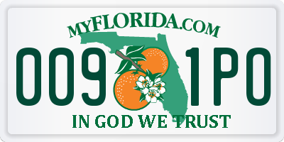FL license plate 0091PO