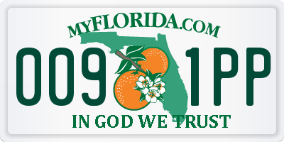 FL license plate 0091PP