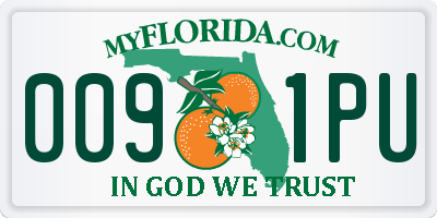 FL license plate 0091PU