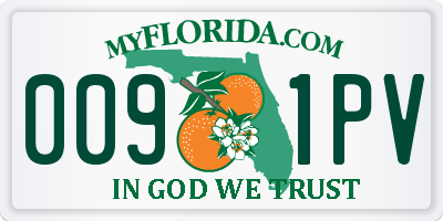 FL license plate 0091PV