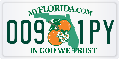 FL license plate 0091PY