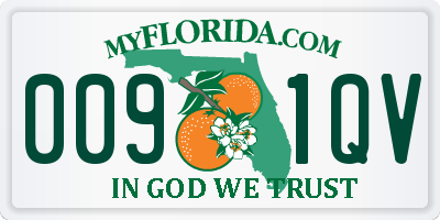 FL license plate 0091QV