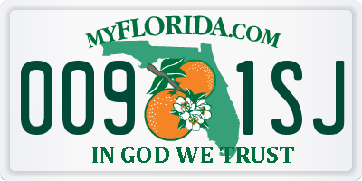 FL license plate 0091SJ