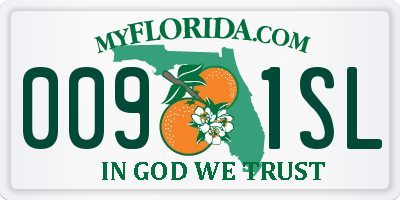 FL license plate 0091SL