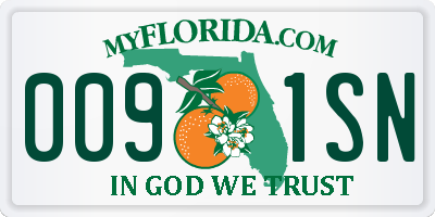 FL license plate 0091SN