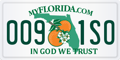 FL license plate 0091SO
