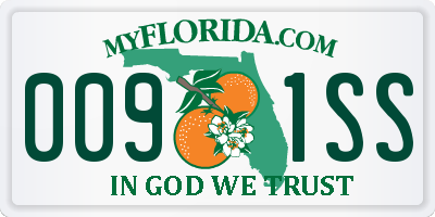 FL license plate 0091SS