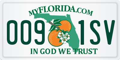 FL license plate 0091SV