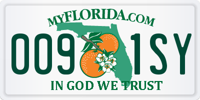 FL license plate 0091SY
