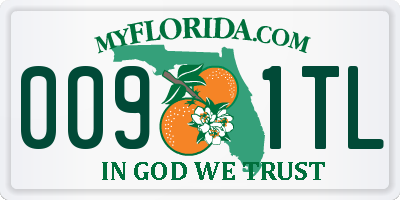 FL license plate 0091TL